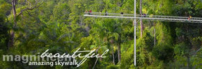 Rainforest Skywalk - Attractions Melbourne