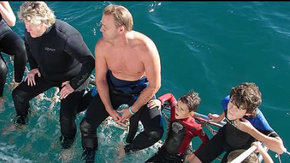 Dolphcom - Dolphin & Whale Swimming Adventures - Attractions Melbourne