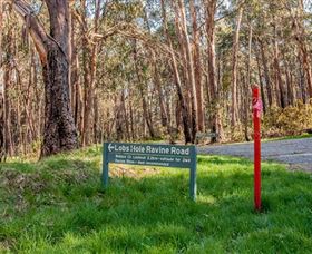 Lobs Hole Ravine 4WD Trail - Attractions Melbourne
