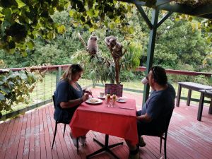 The Aussie Stop offering Breakfast with Koalas - Attractions Melbourne