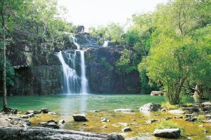 Cedar Creek Falls - Attractions Melbourne